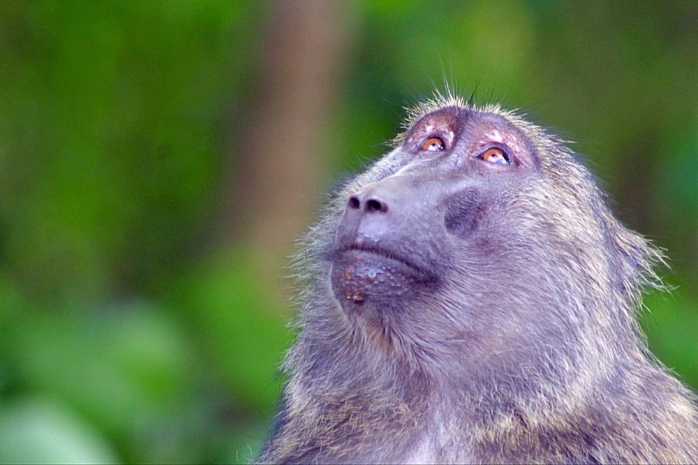 Photograph by Debbie Strauss