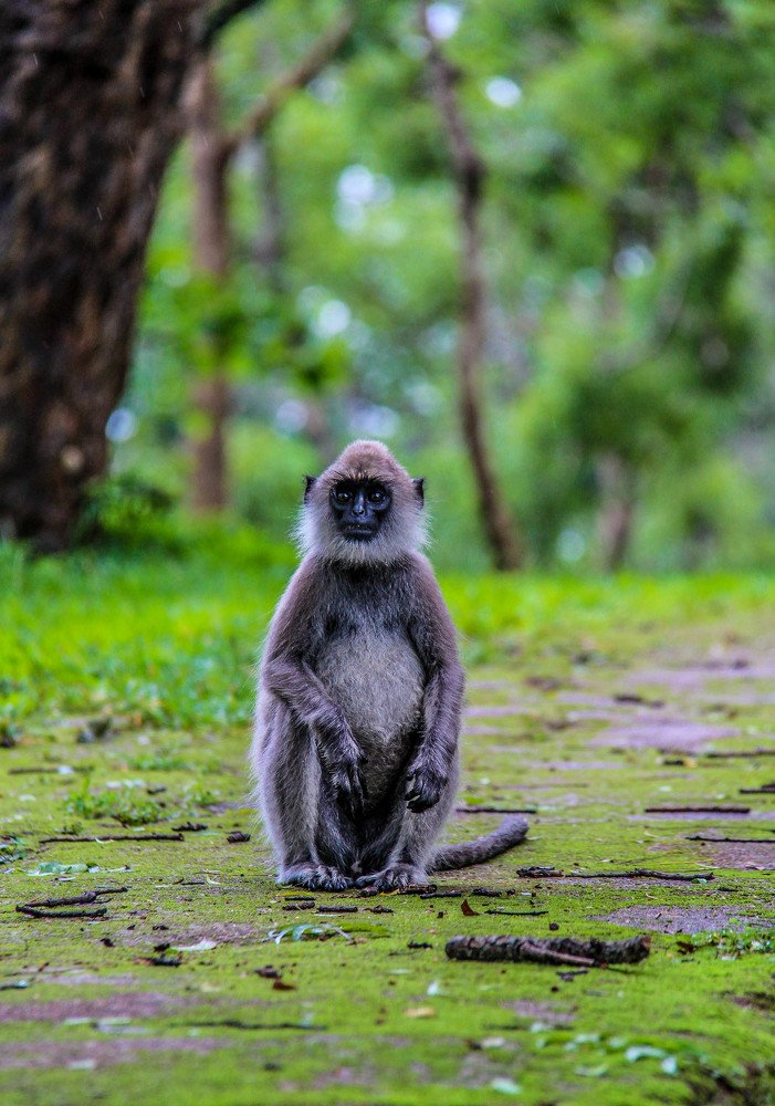 Photograph by Tilaxan Tilaxan