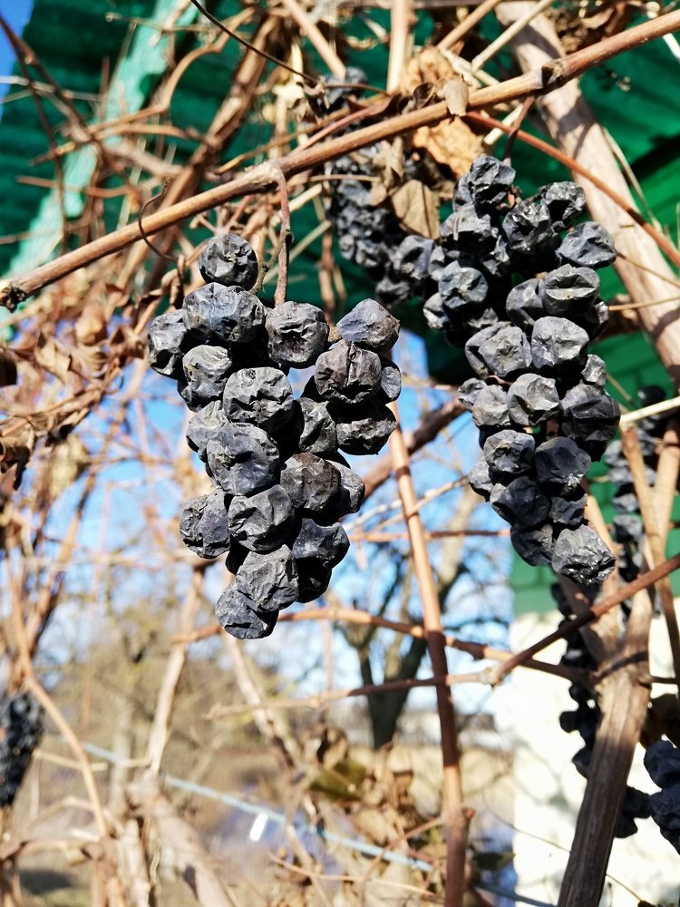 Photograph by Татьяна Афанасьева