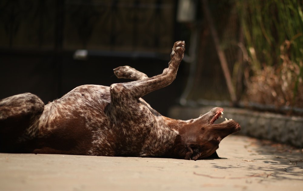 Жизнь удалась