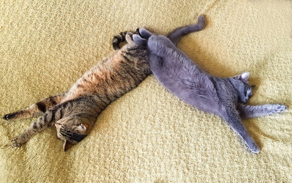 Угол сопряжения