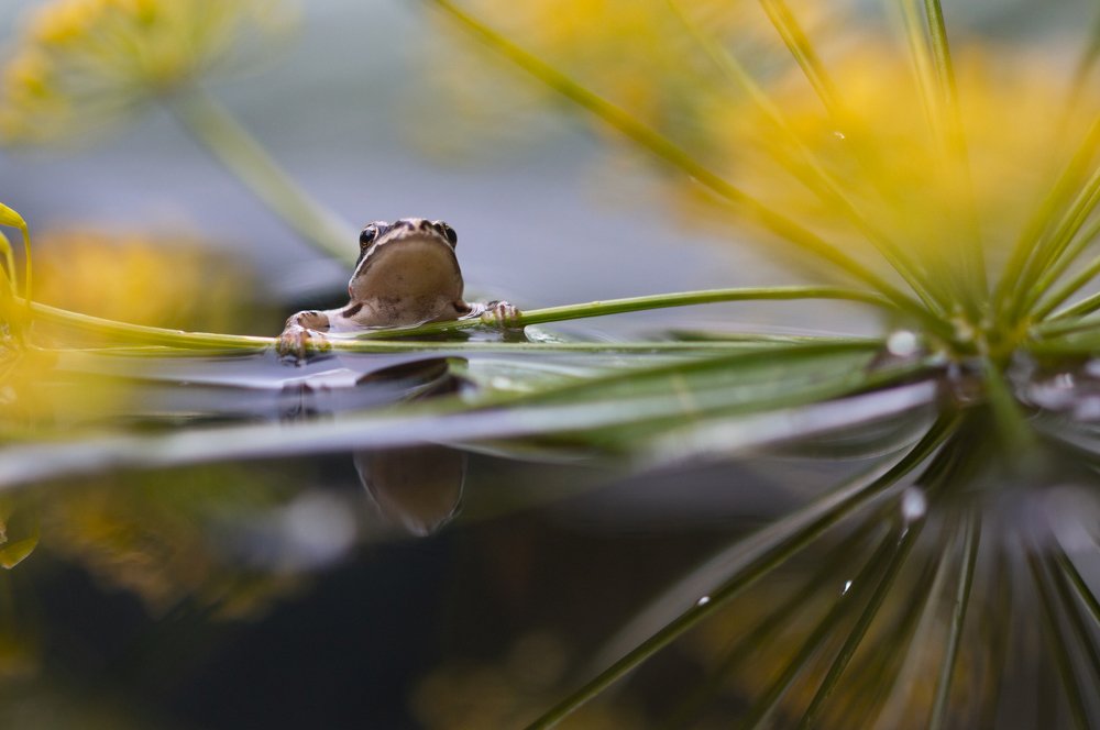 Photograph by Людмила Гудина
