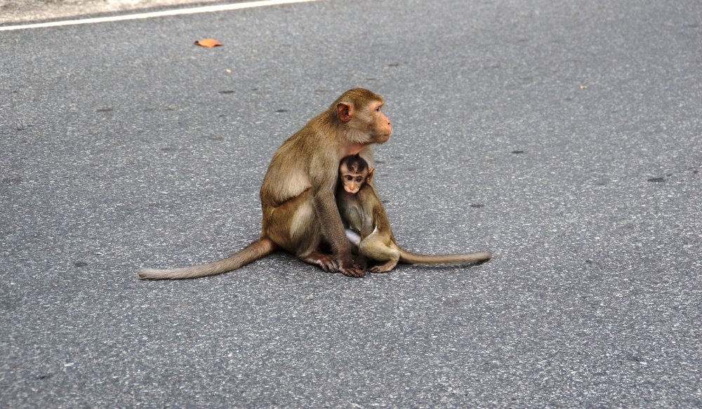 Photograph by Андрей Елькин