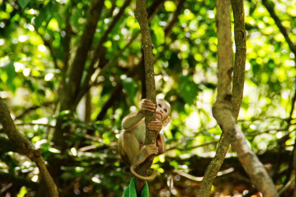 Photograph by Андрей Елькин