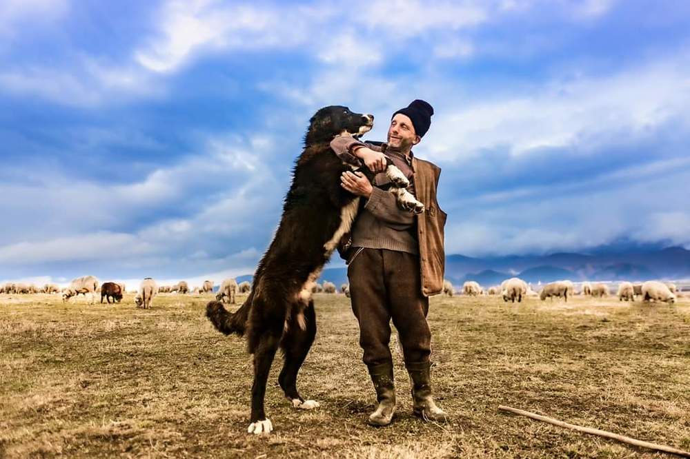 Photograph by FLORIAN RADUCU