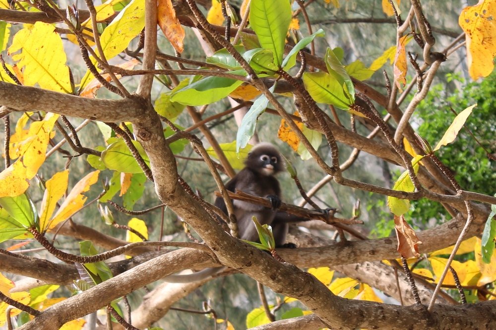 Photograph by Виталий