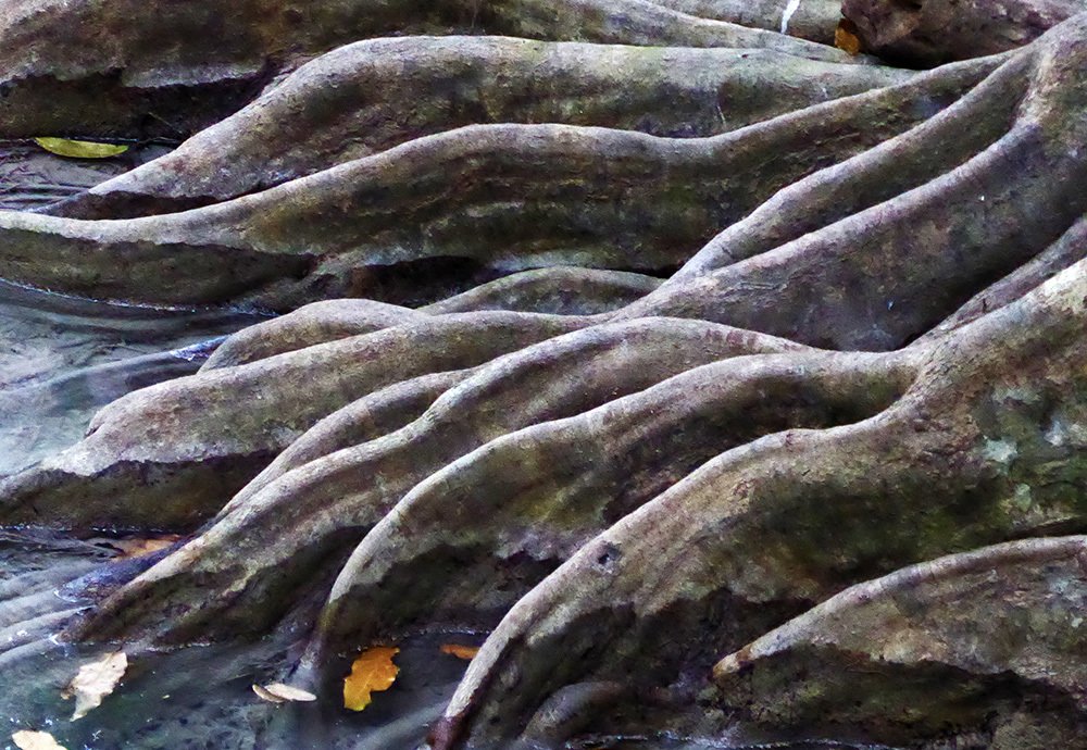 Photograph by maja zaplotnik