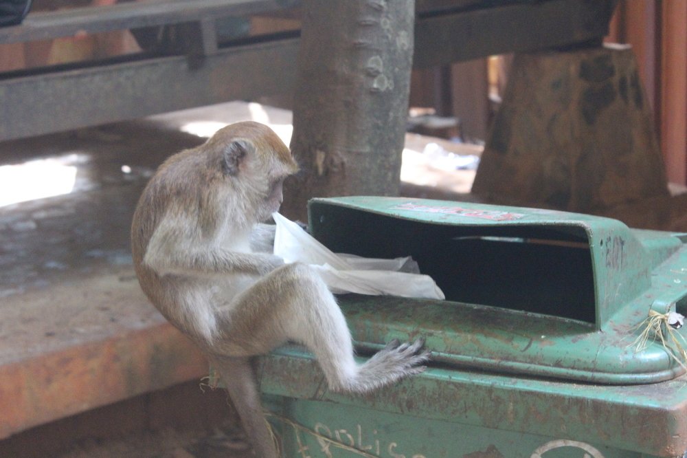 Photograph by Виталий