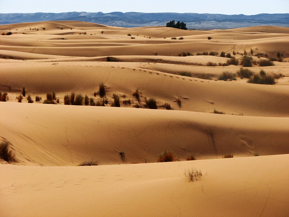 Photograph by maja zaplotnik