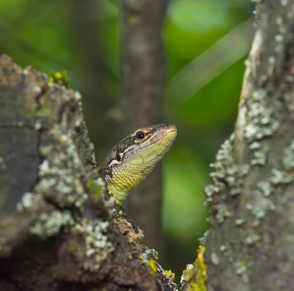 Photograph by Владимир Богданов