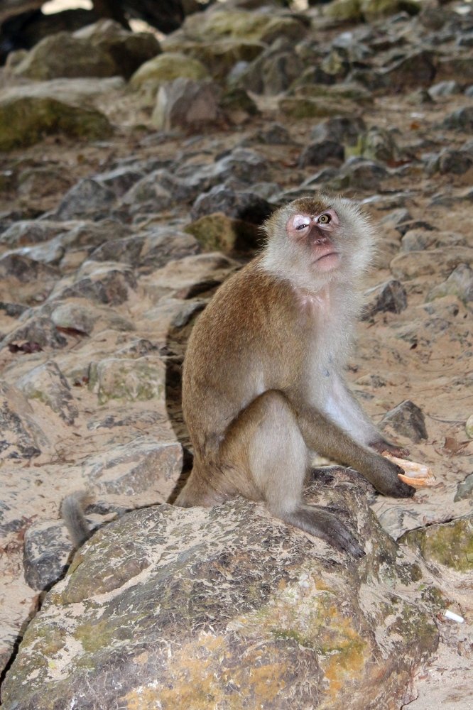 Photograph by Виталий