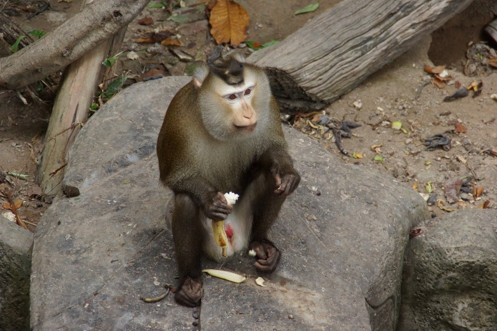 Photograph by Андрей Елькин