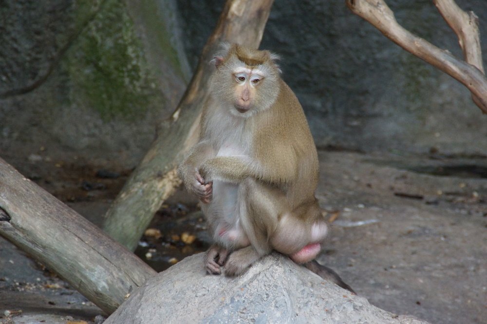 Photograph by Андрей Елькин