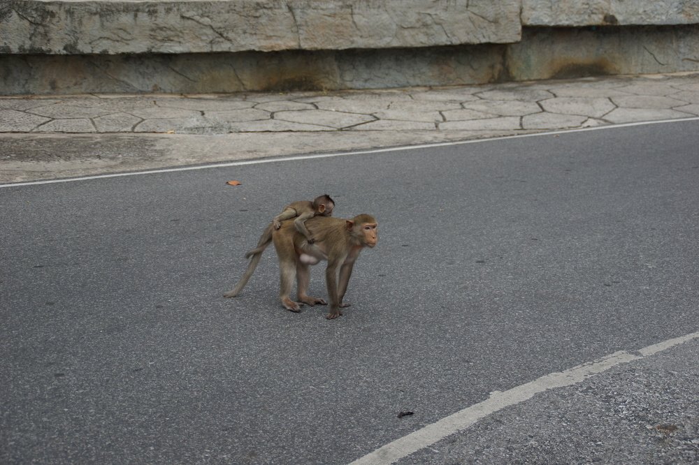 Photograph by Андрей Елькин