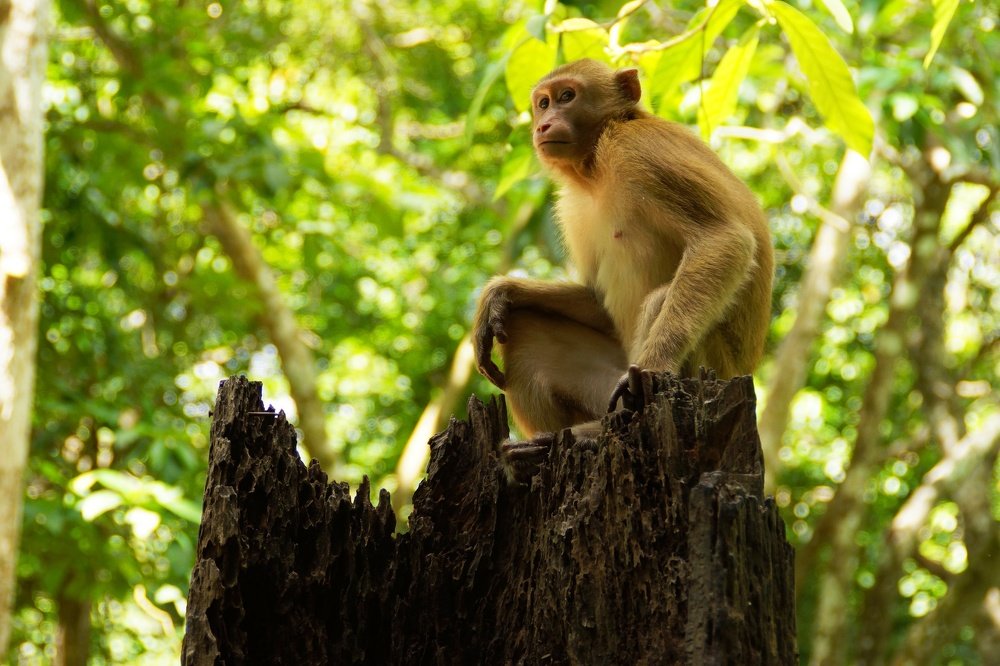 Photograph by Андрей Елькин