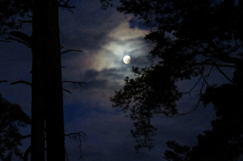 Фотография автора Ольга Завадилика