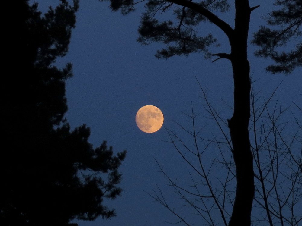 Фотография автора Ольга Завадилика