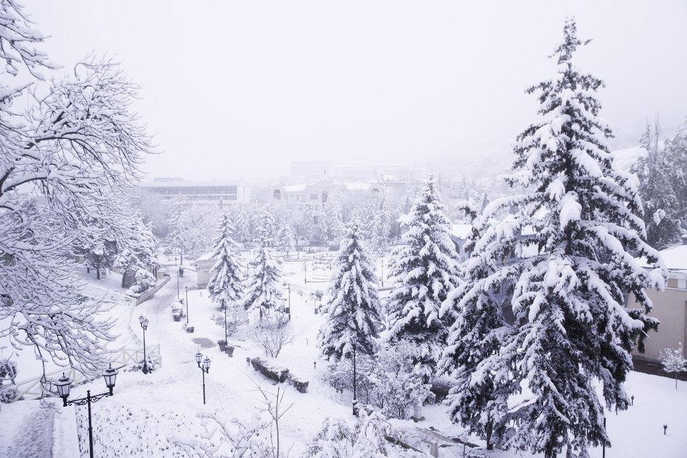 Фотография автора Анна Вигера