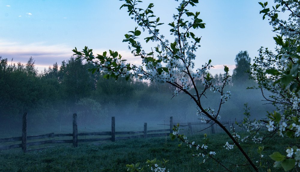 Photograph by Ольга Сафронова