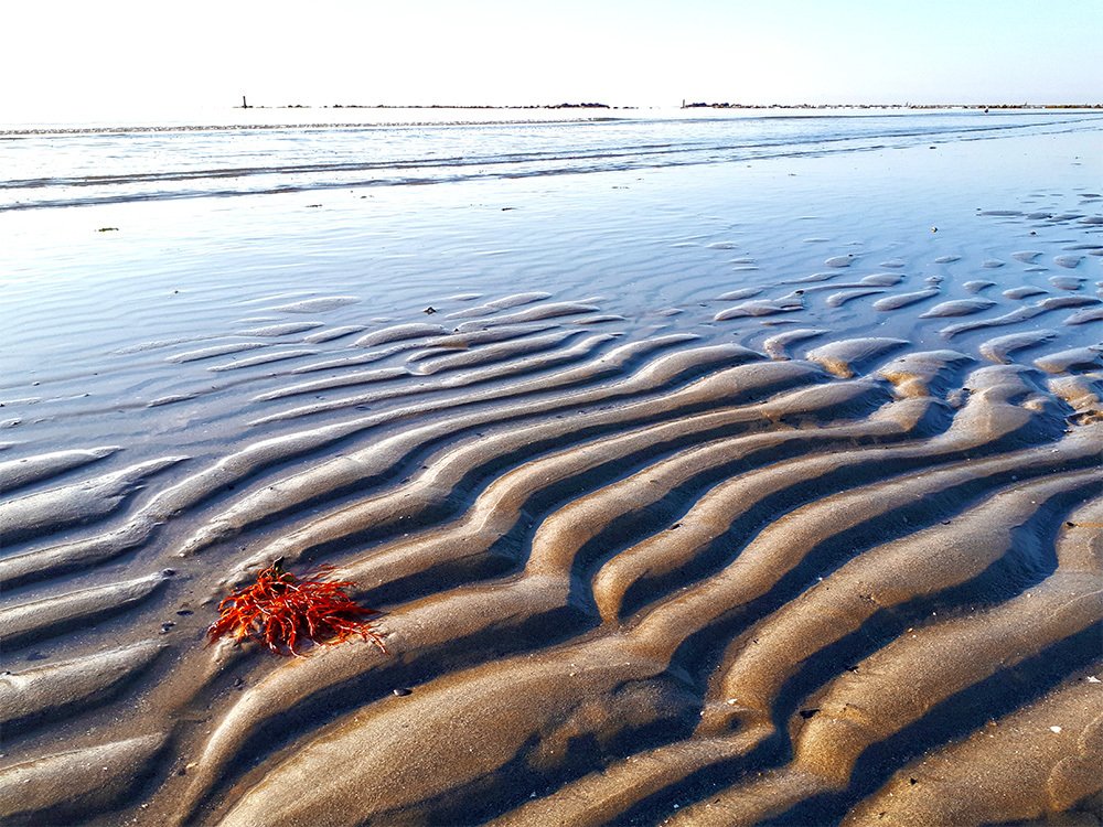 Photograph by maja zaplotnik