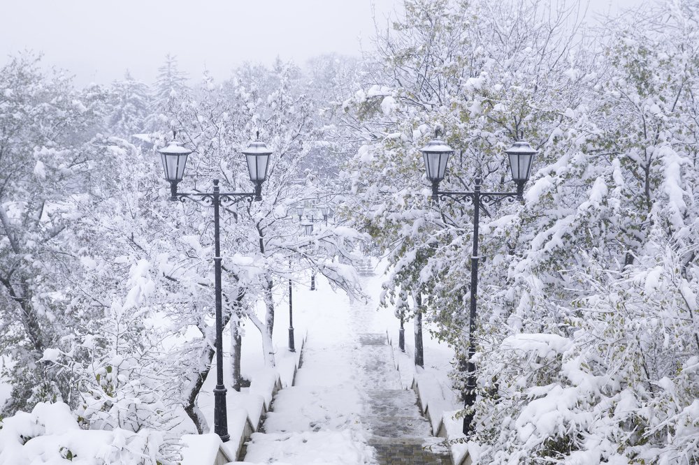 Фотография автора Анна Вигера