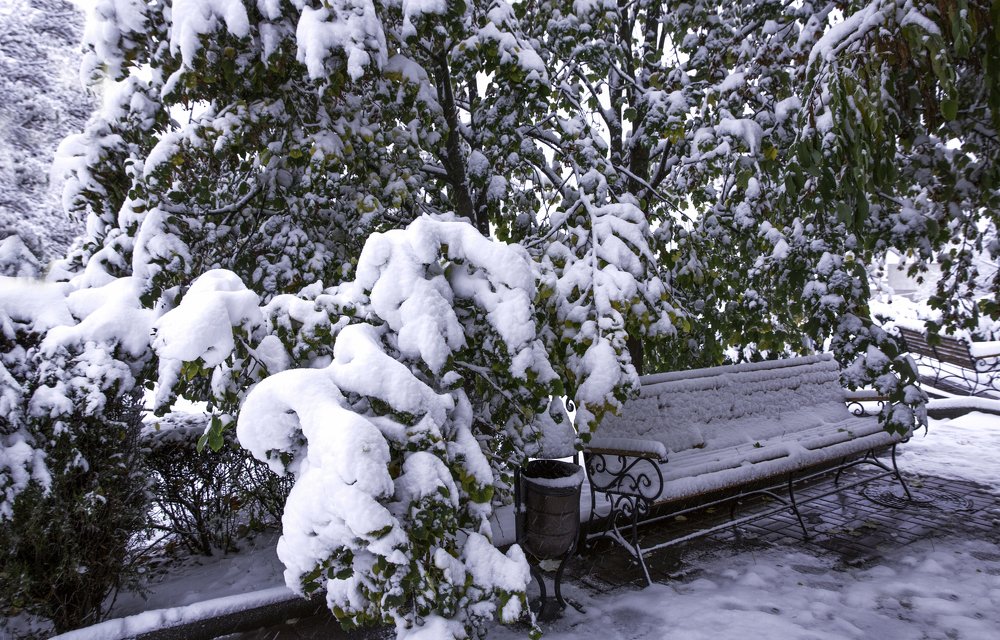 Фотография автора Анна Вигера