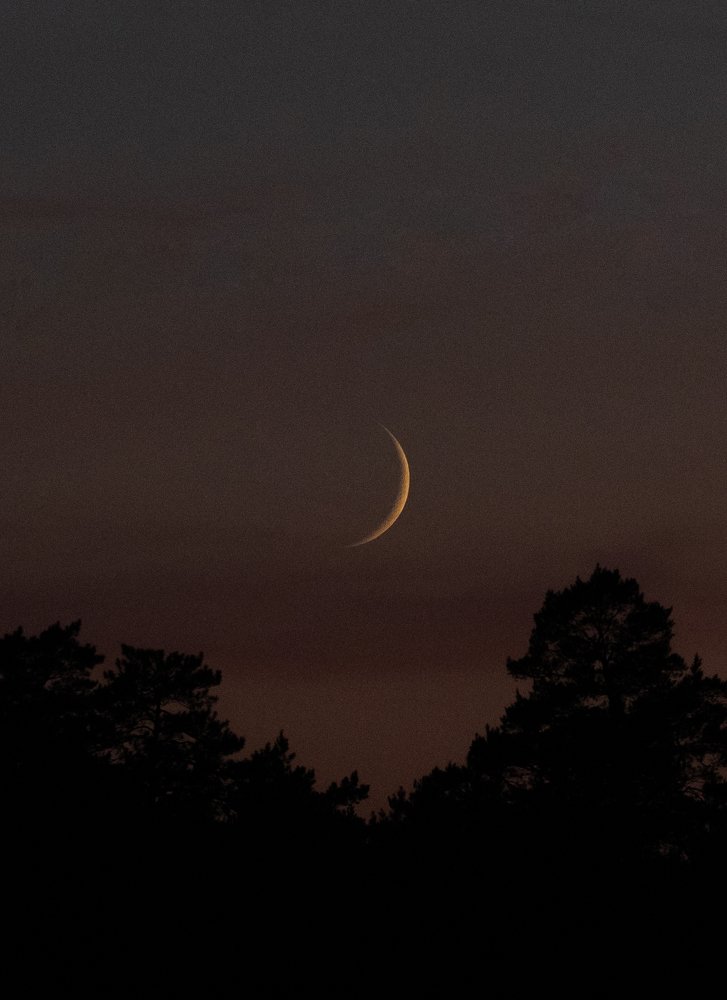 Photograph by Сергей Синелобов