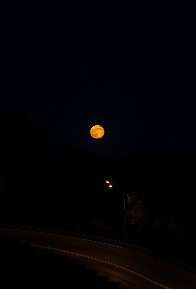 Photograph by Сергей Синелобов