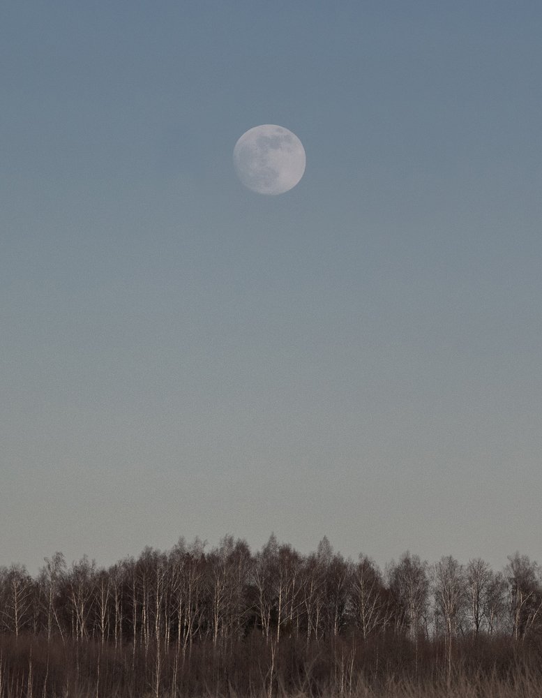 Photograph by Сергей Синелобов