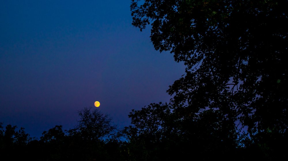 Photograph by Сергей Мамалюк