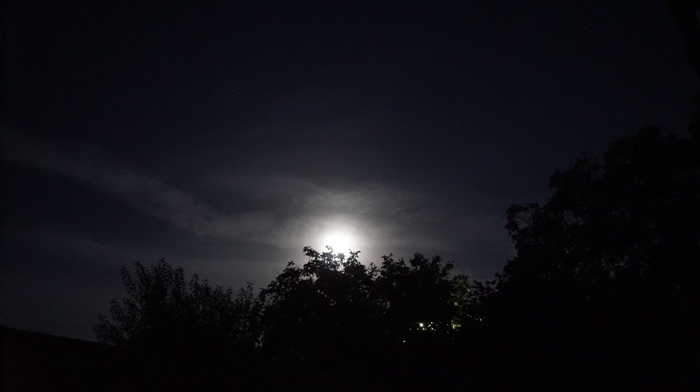 Photograph by Сергей Мамалюк