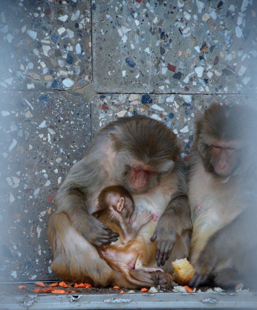 Photograph by Михаил Kolesnik