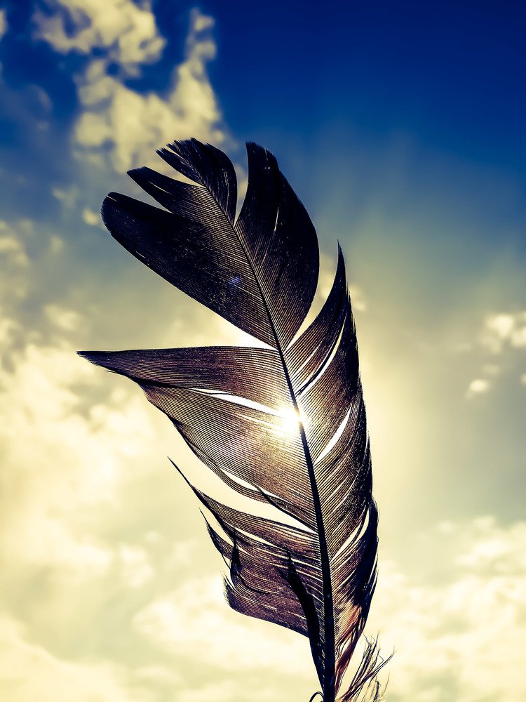 Photograph by Светлана Шибаршина