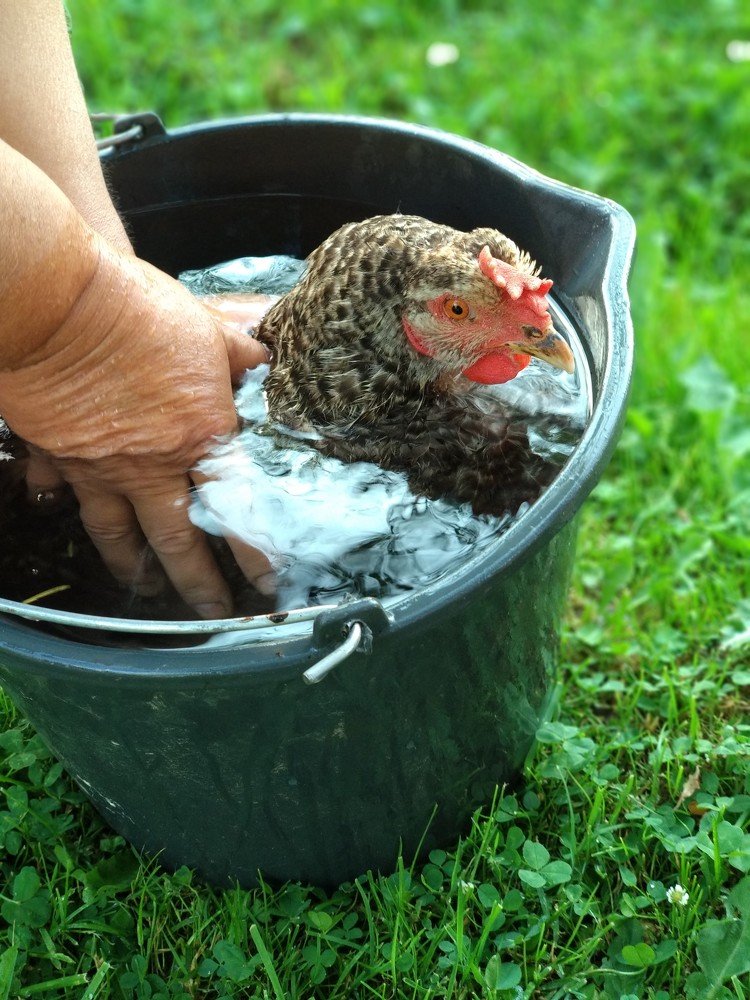 Photograph by Марина Мишина