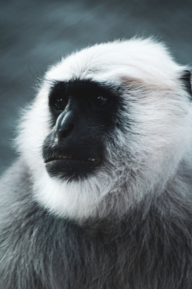 Photograph by Prajjwal Garg