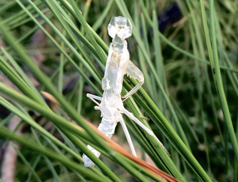 Photograph by Елена Ким