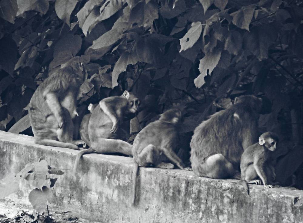 Photograph by Prajjwal Garg