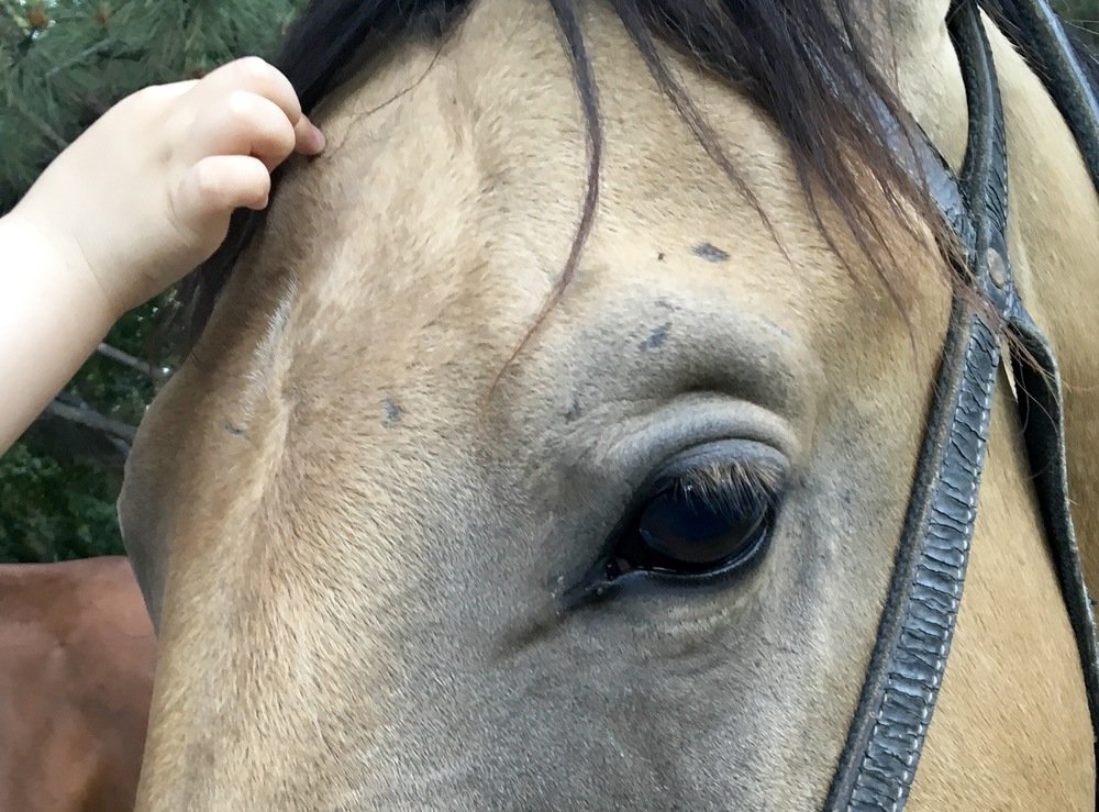 Photograph by Елена Ким