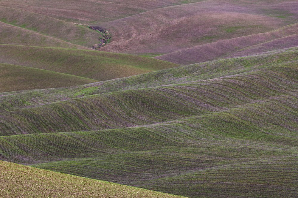 Photograph by Maria Tripoten