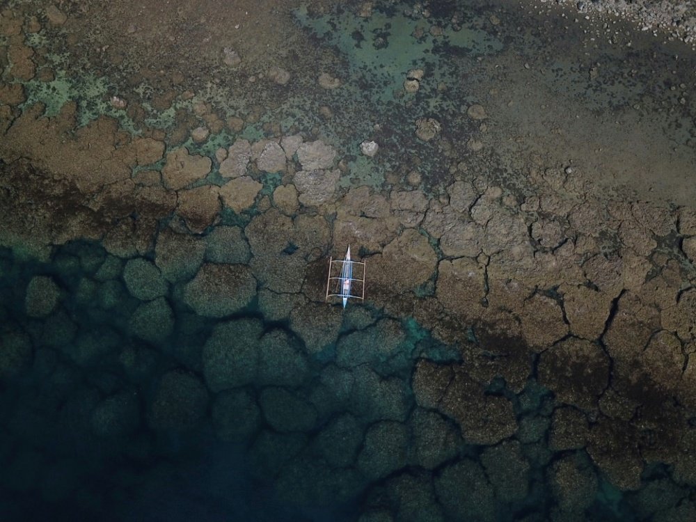 Photograph by Jay Jay