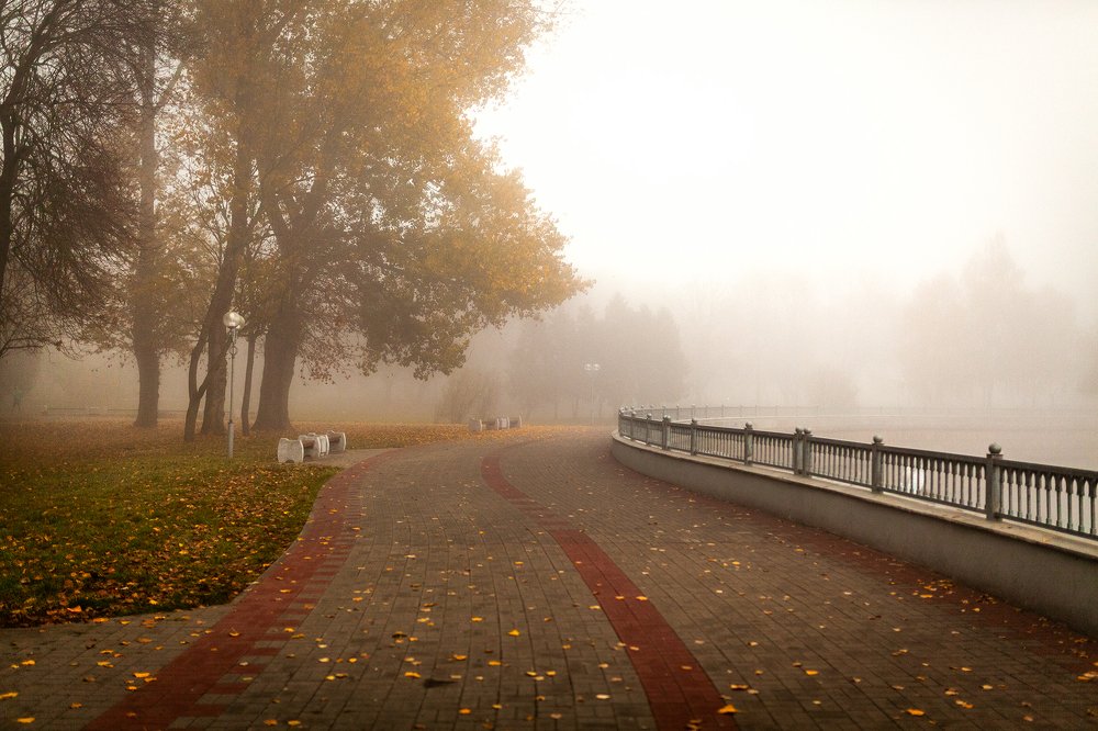 Photograph by Артём Будник