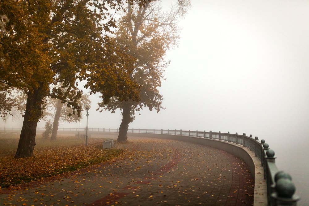 Photograph by Артём Будник