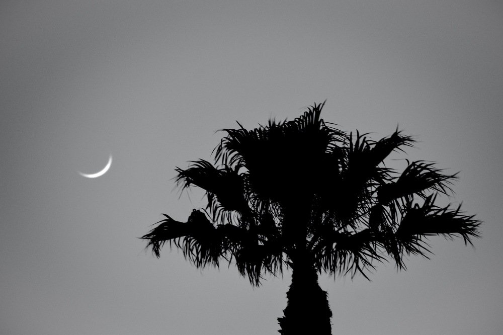 Photograph by Joseph Octaviani