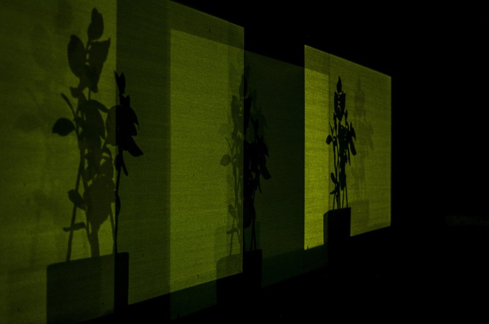 Photograph by Дмитрий