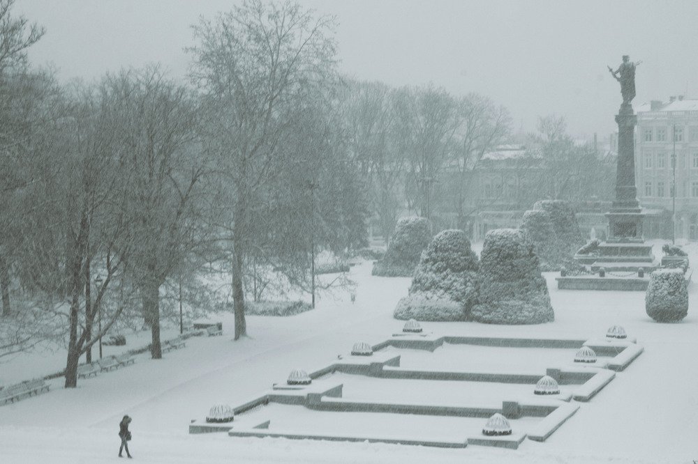 Photograph by Elitza Petkova