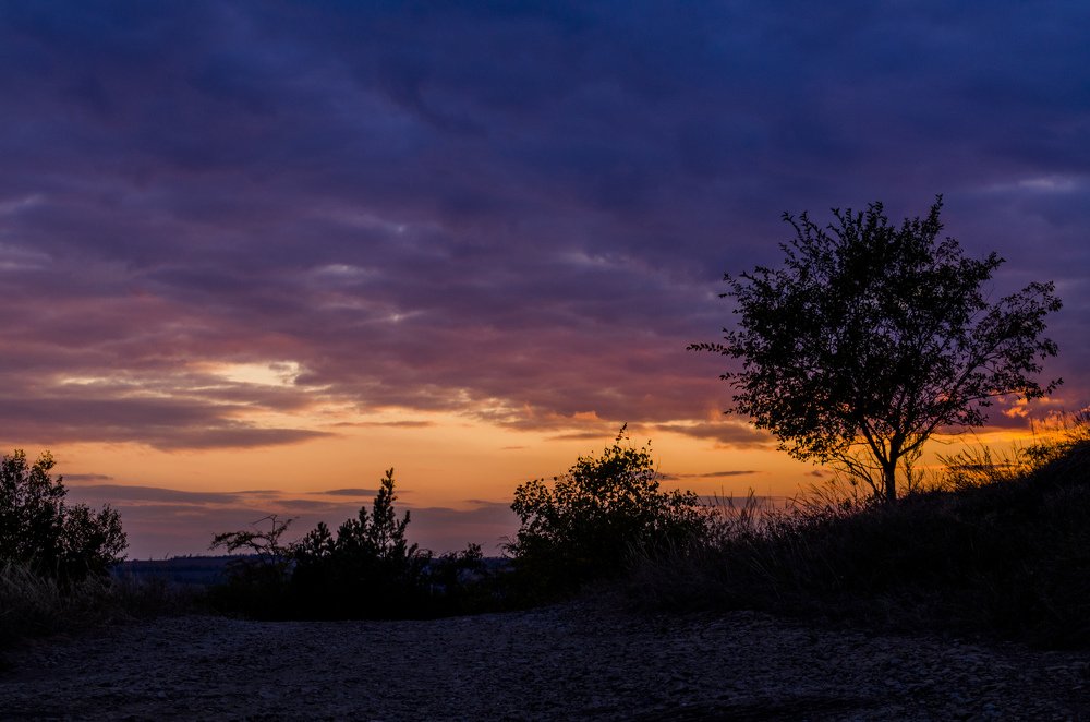 Photograph by Дмитрий