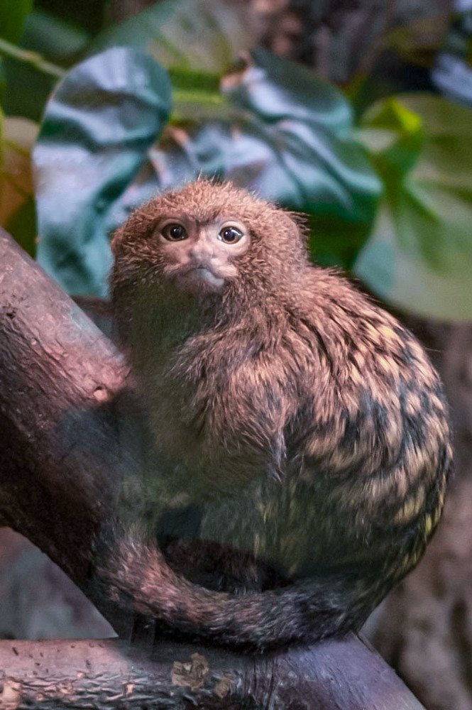 Photograph by Мария Причиненко