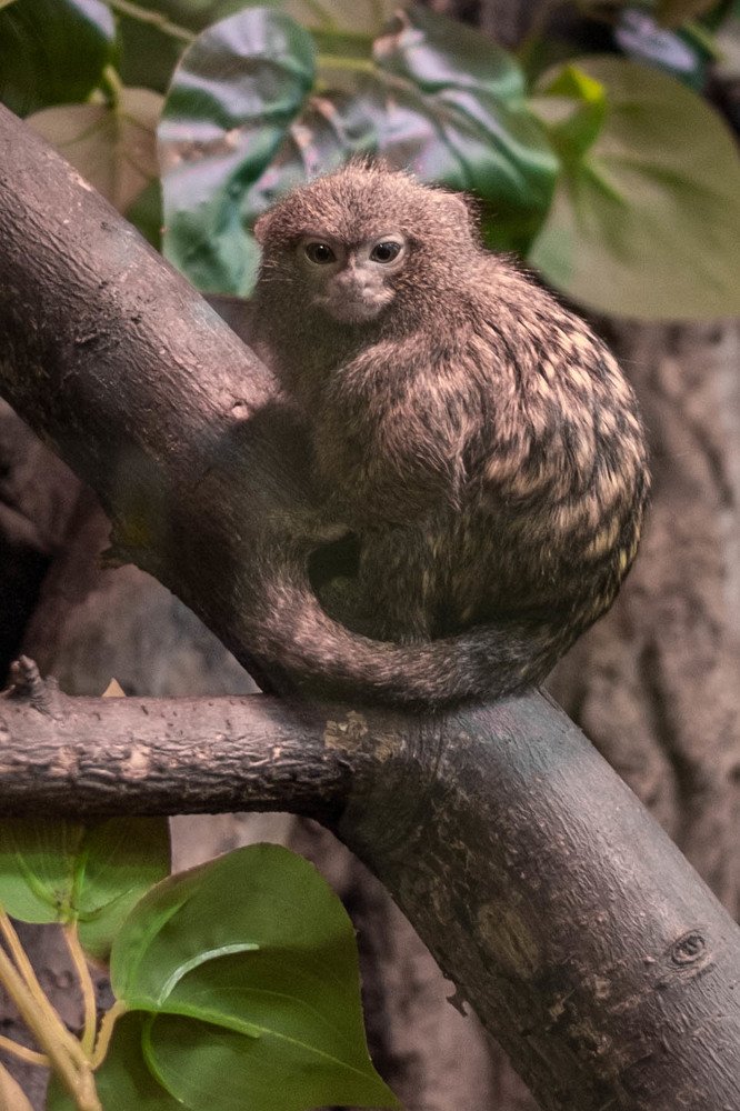 Photograph by Мария Причиненко