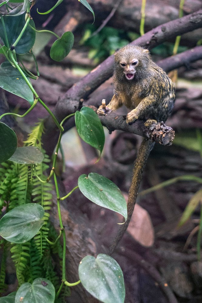 Photograph by Мария Причиненко