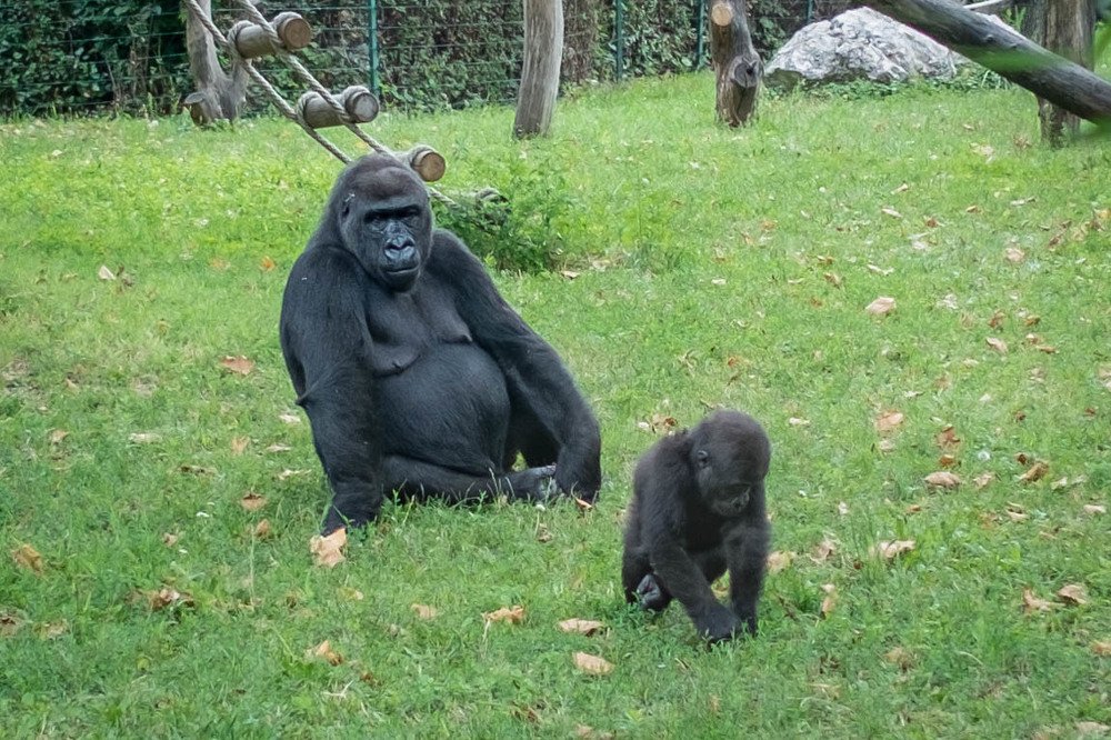 Photograph by Мария Причиненко